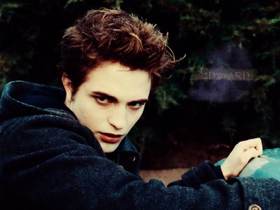 Twilight Movie (22)