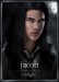 twilight_movie_poster_character_one_sheet_jacob1