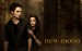 New-Moon-Posters-new-moon-movie-6475796-1280-800