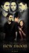 New-Moon-Posters-twilight-series-6508373-865-1550