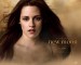 Offical-New-Moon-Posters-new-moon-movie-7251202-600-480